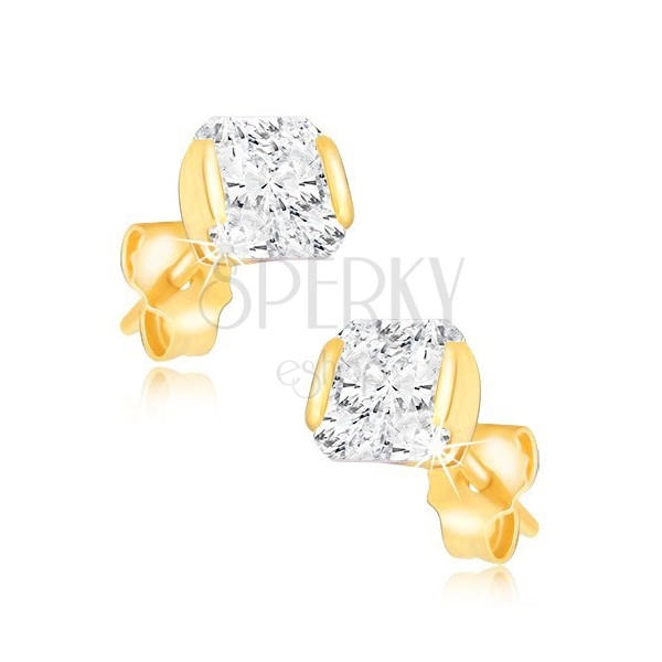 Gold earrings - shimmering zircon gripped from two sides in mount