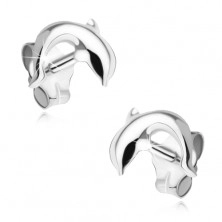 Earrings made of silver 925, jumping dolphin