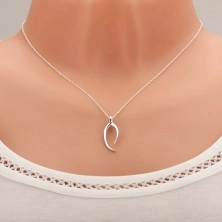 925 silver necklace, shiny pendant - fishbone for good luck