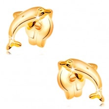 Earrings made of yellow 14K gold - jumping dolphin, shiny protruding surface