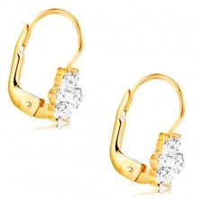 585 gold earrings - sparkly flower made of clear circular zircons