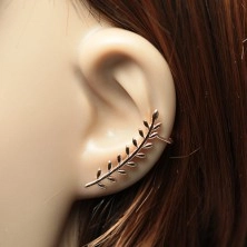 Crawler earrings in copper colour, 925 silver, a branch with leaves, studs and hooks