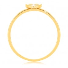 Ring made of yellow 9K gold - heart with white border and clear zircon