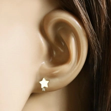 14K Yellow gold stud earrings – a star with a clear zircon