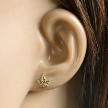 Glossy 14K gold earrings – a Cannabis leaf with veins and stem