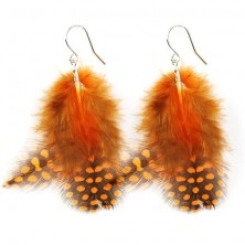 Black and brown feather earrings