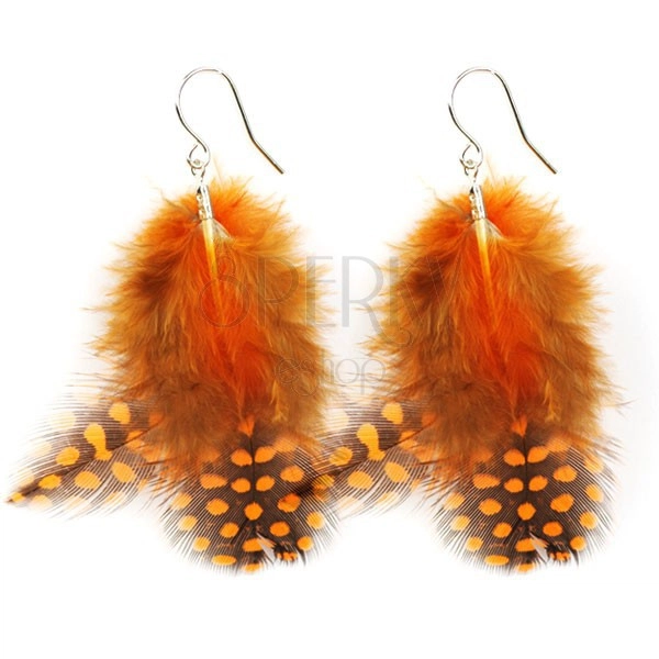 Black and brown feather earrings