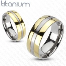 Titanium ring - gold and silver colour combination